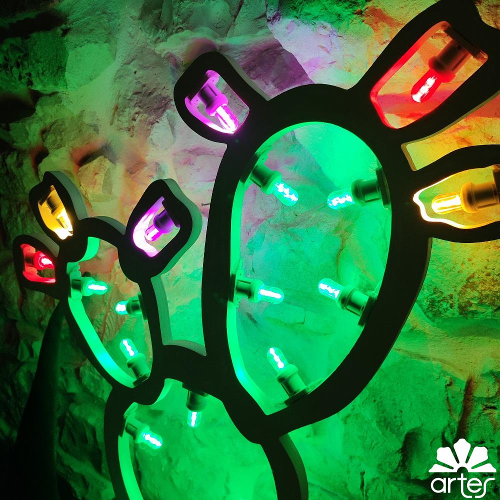 pala di fico da terra medio - immagine 3